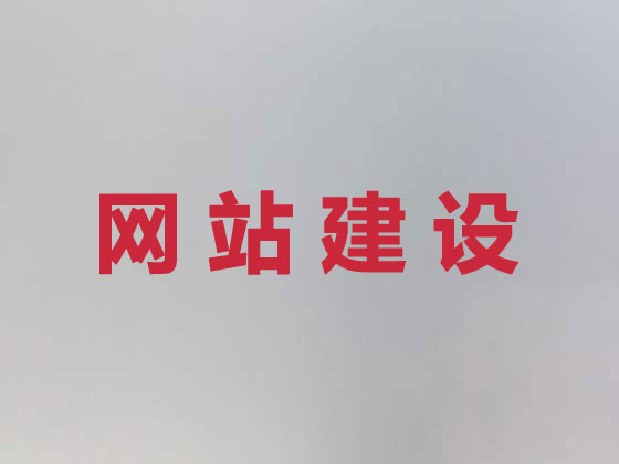 武汉专业网站设计